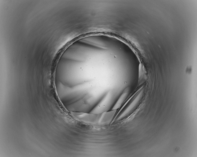 X0000090441165200707272148