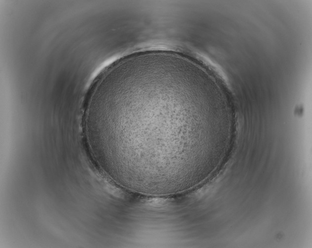 X0000090441166200707272148