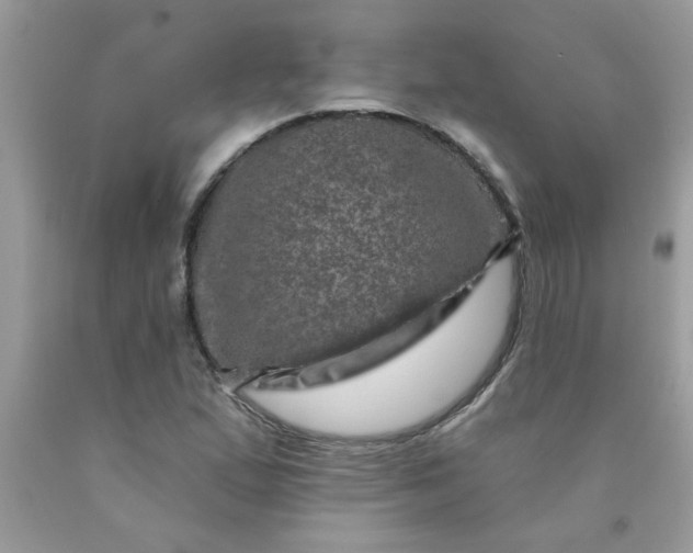 X0000090441167200707272148