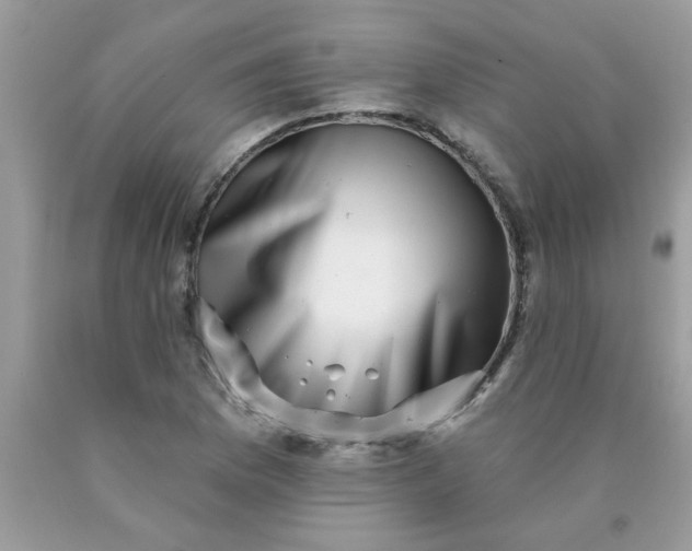 X0000090441169200707272148