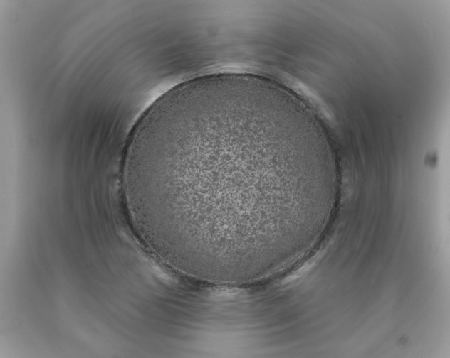 X0000090441170200707272148