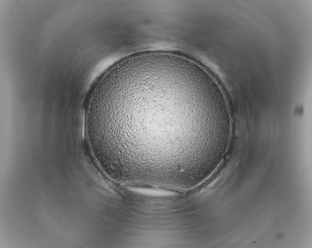 X0000090441171200707272148