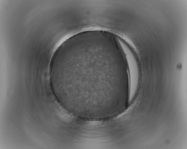 X0000090441173200707272148