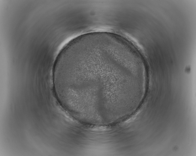 X0000090441174200707272148