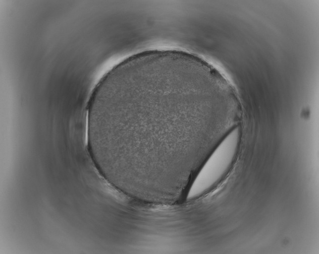 X0000090441175200707272148