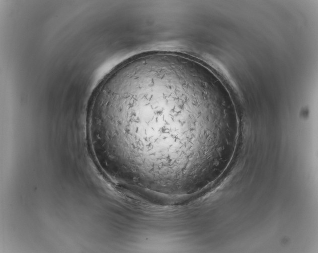 X0000090441176200707272148