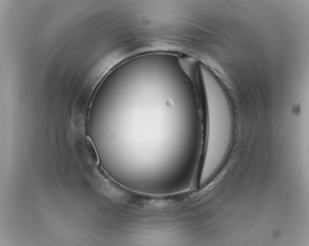 X0000090441177200707272148