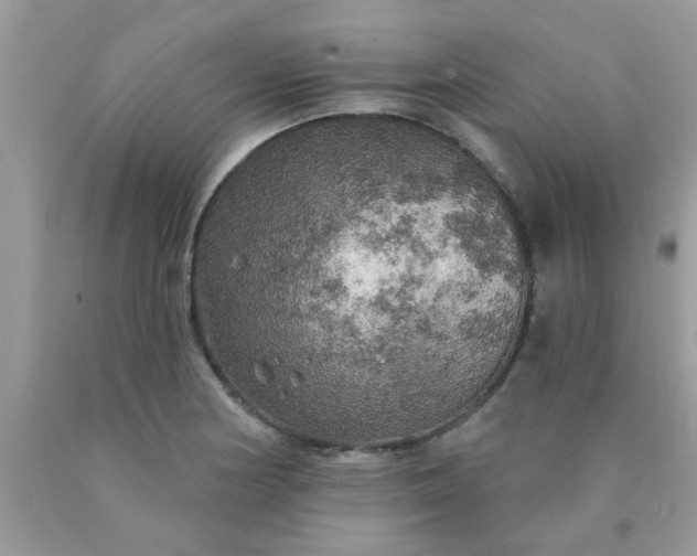 X0000090441178200707272148