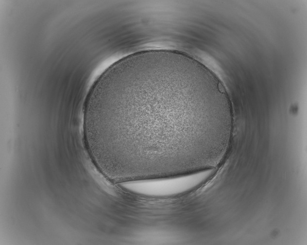 X0000090441179200707272148