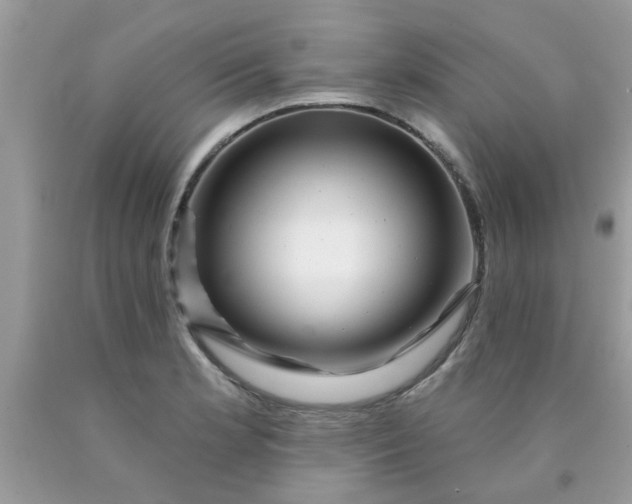 X0000090441181200707272148