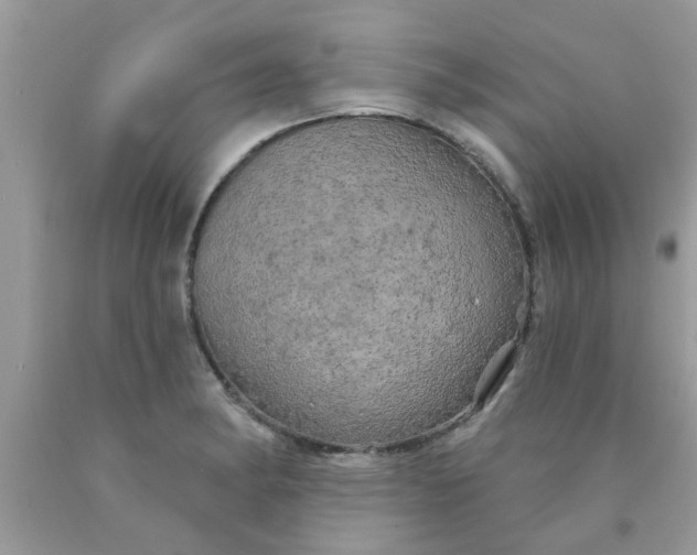 X0000090441182200707272148