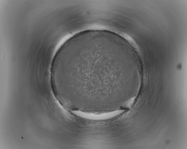 X0000090441183200707272148