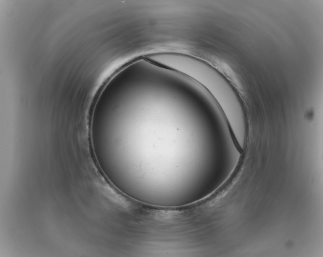 X0000090441184200707272148