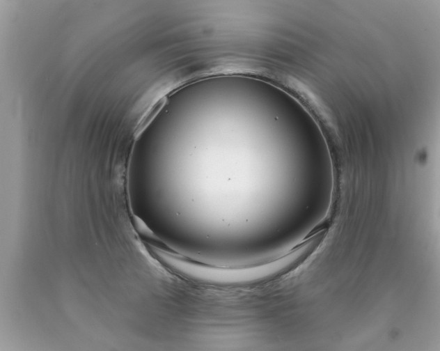 X0000090441185200707272148