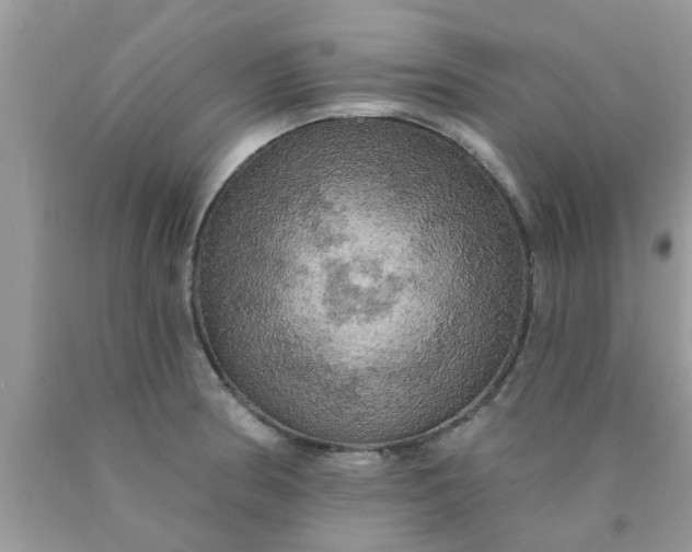 X0000090441186200707272148