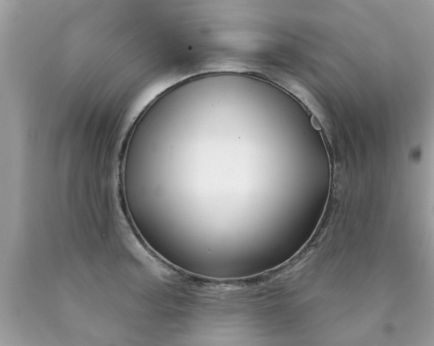 X0000090441187200707272148