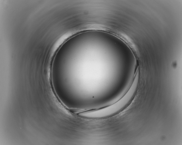 X0000090441188200707272147