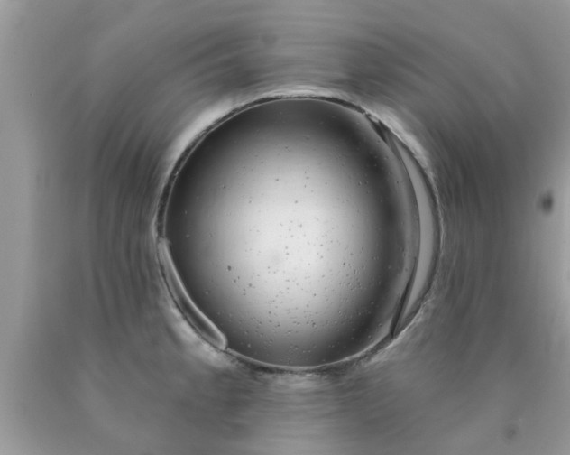 X0000090441189200707272147