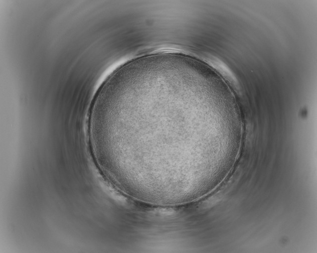 X0000090441190200707272147