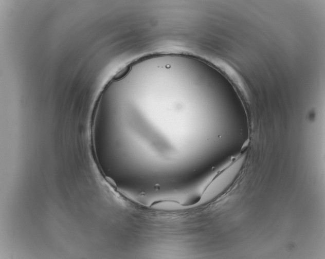 X0000090441191200707272147