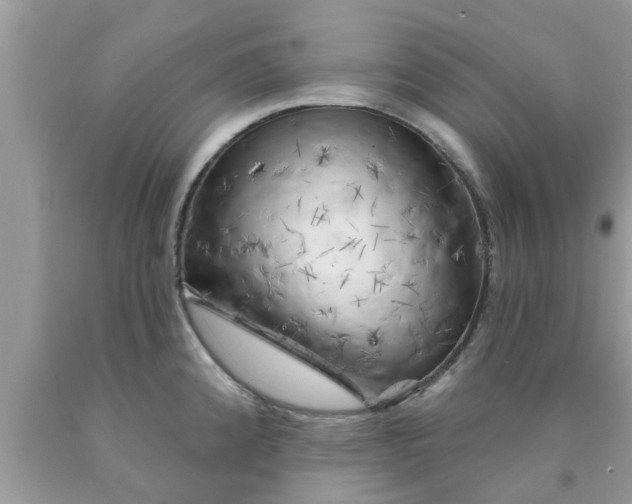 X0000090441192200707272147