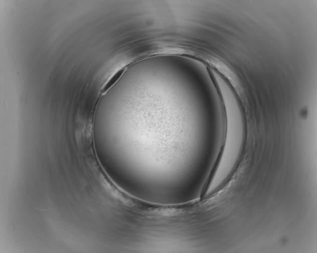 X0000090441193200707272147