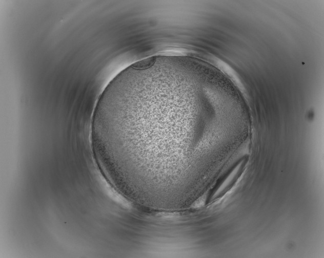 X0000090441194200707272147