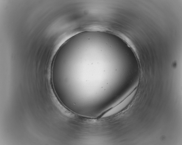 X0000090441195200707272147