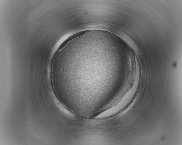 X0000090441196200707272147