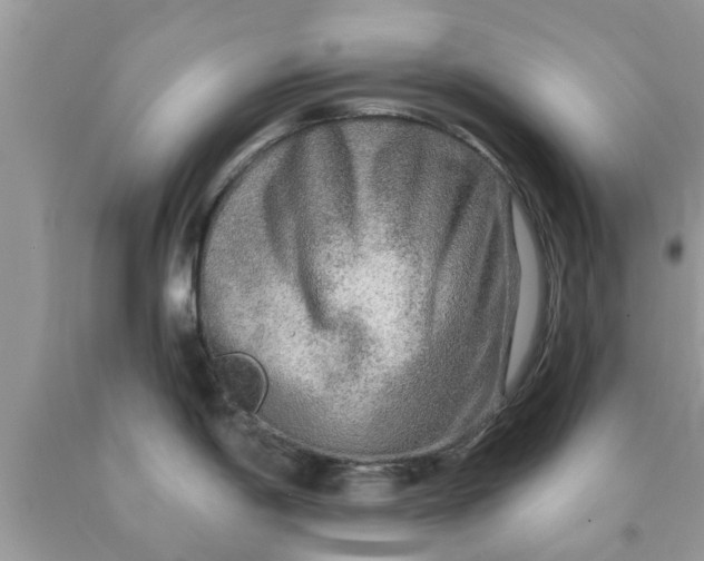 X0000090441198200707272147