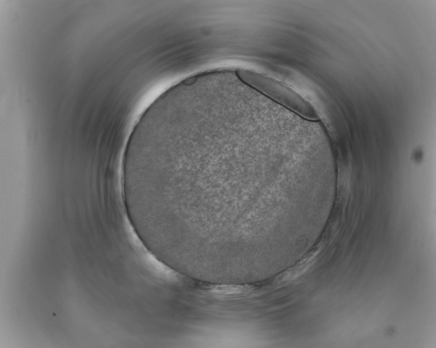 X0000090441199200707272147