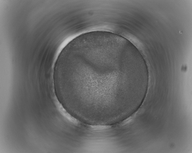 X0000090441200200707272147