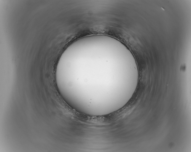 X0000090441201200707272147