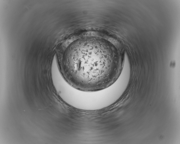 X0000090441202200707272147