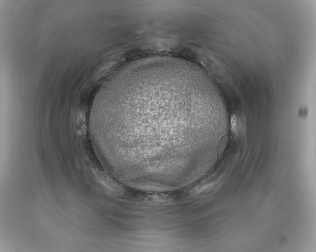 X0000090441203200707272147