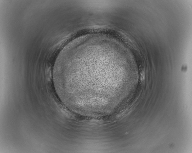 X0000090441204200707272147