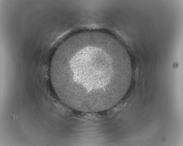 X0000090441205200707272147