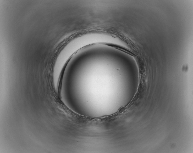 X0000090441206200707272147