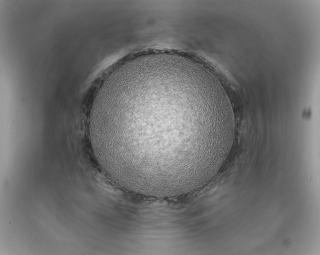 X0000090441207200707272147