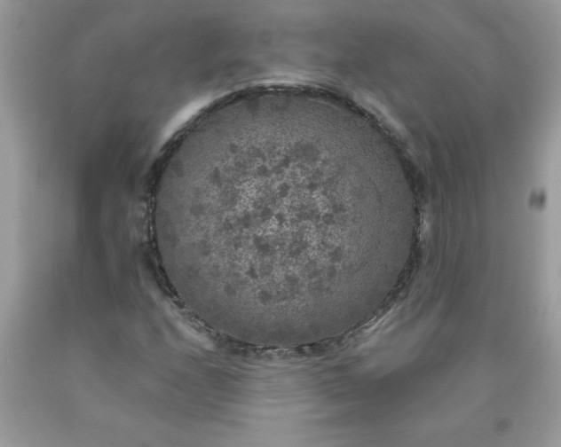 X0000090441208200707272147