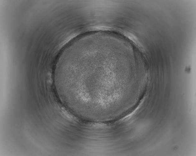 X0000090441209200707272147