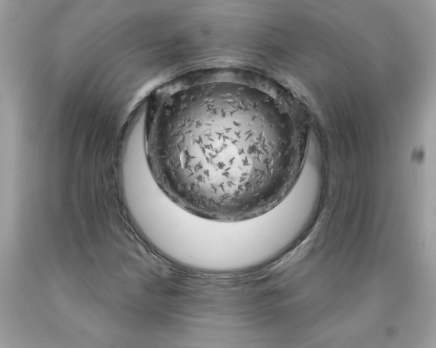 X0000090441210200707272147