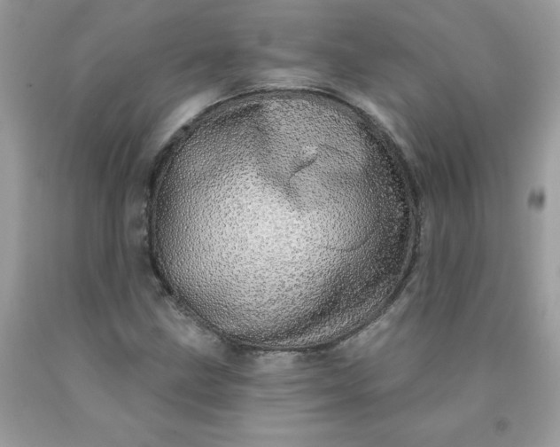 X0000090441211200707272147