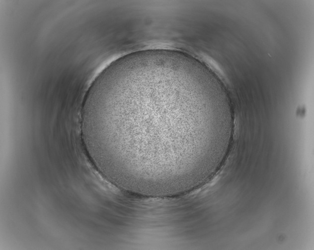 X0000090441212200707272147