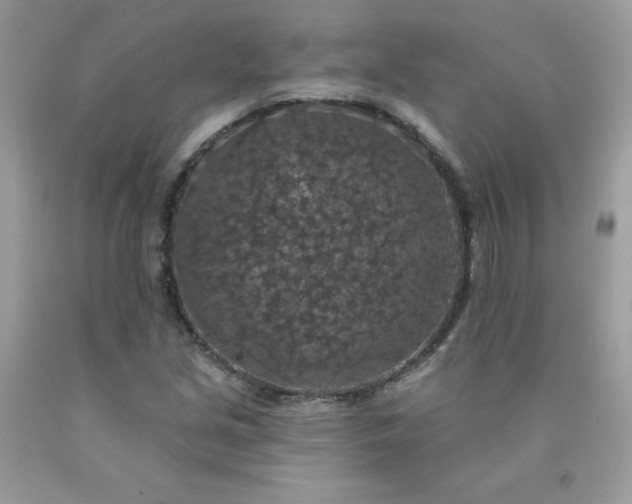 X0000090441213200707272147