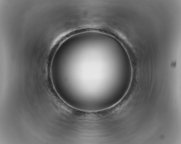 X0000090441214200707272147