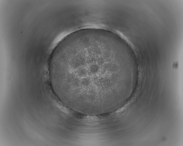 X0000090441215200707272147