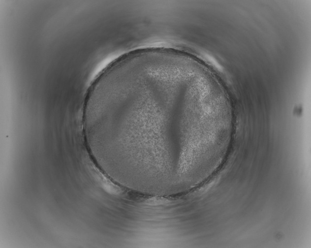 X0000090441216200707272147