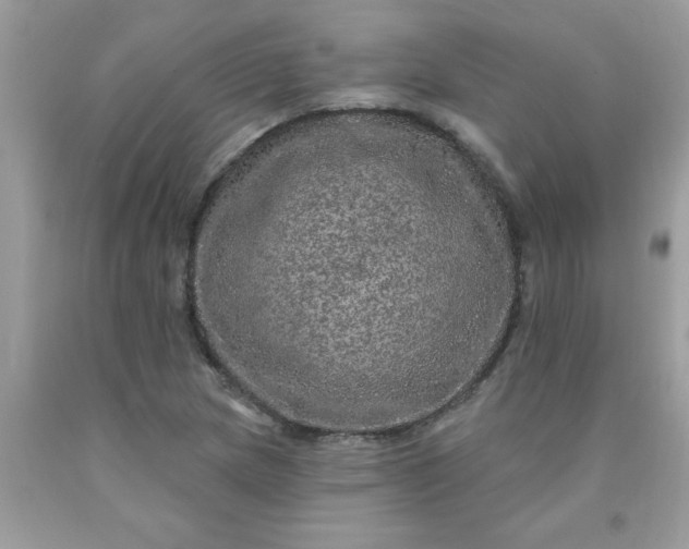 X0000090441217200707272147