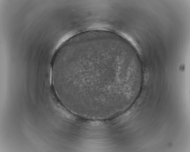 X0000090441219200707272147